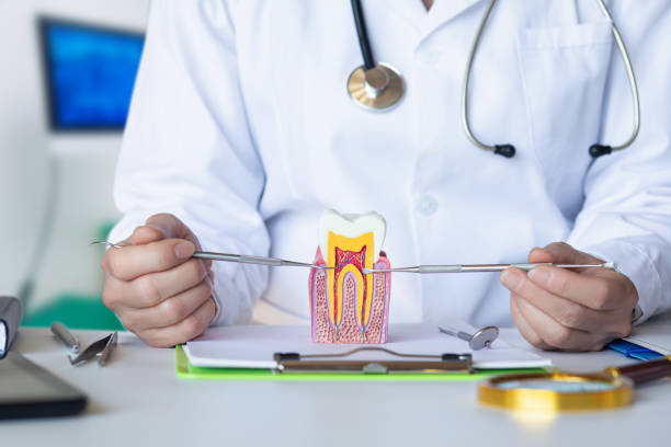 Best Emergency Treatment for Dental Infections or Abscesses in Church Hill, PA